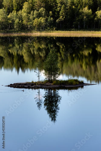 Small island on a Finnish lake with a beautiful reflection from water in summer