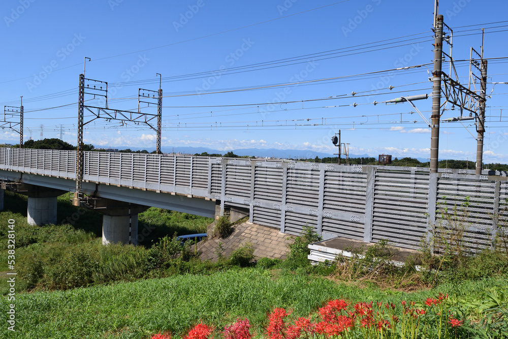 Obraz premium 【埼玉県さいたま市】荒川河川敷 彼岸花と武蔵野線橋梁