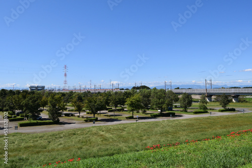 【埼玉県さいたま市】荒川河川敷 彼岸花と武蔵野線橋梁