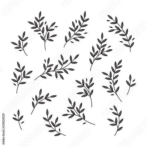 Hand drawn set of branches silhouettes in graphic style isolated vector illustration