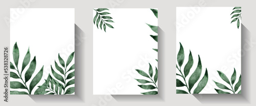 Set of vector tropical green leaves with white frame place for text isolated on white background