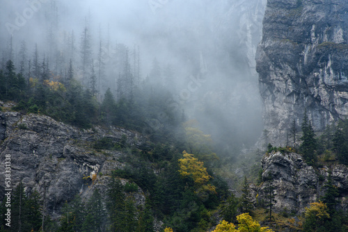 Fototapeta Naklejka Na Ścianę i Meble -  Tatry - mgła w Dolinie Kościeliskiej