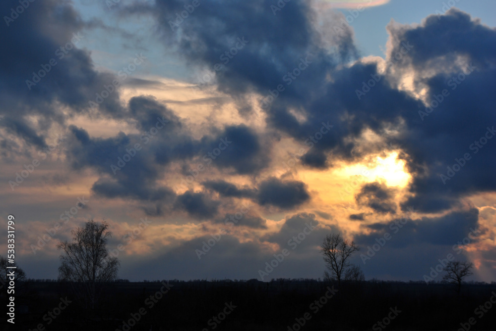 Trees without leaves on background of sunset, blue pink cloudy sky, evening dusk