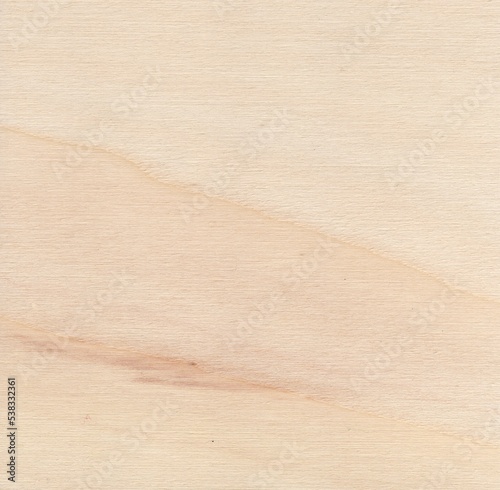 texture of light wood background