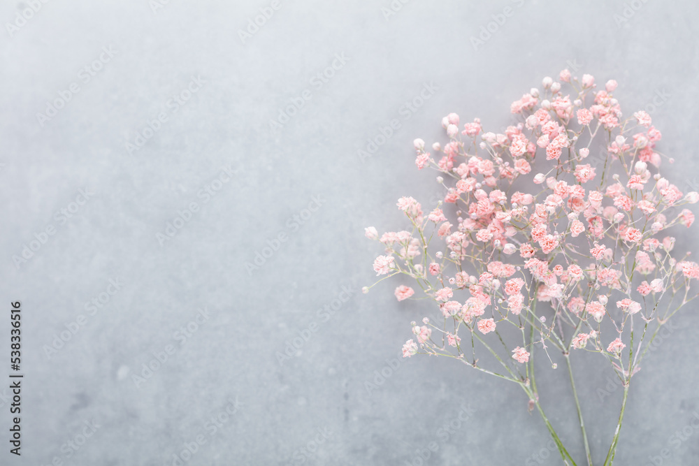 Obraz premium Beautiful flower background of pink gypsophila flowers. Flat lay, top view. Floral pattern.