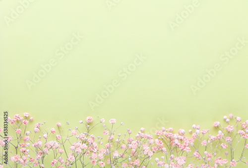 Beautiful flower background of pink gypsophila flowers. Flat lay, top view. Floral pattern.