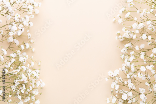 Fototapeta Naklejka Na Ścianę i Meble -  Beautiful flower background of pink gypsophila flowers. Flat lay, top view. Floral pattern.