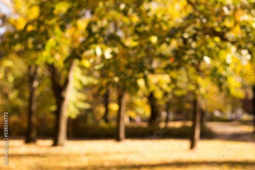 Colorful autumn forest. Beautiful city park scenery