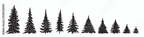 Pine tree silhouettes collection, hand drawn doodle sketch, black and white vector illustration