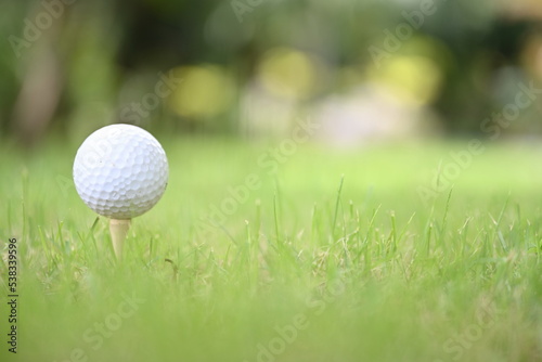 Image of white golf ball and green lawn People all over the world play golf during their holidays for health and relaxation. Golf ball placed on a green lawn in a golf course 