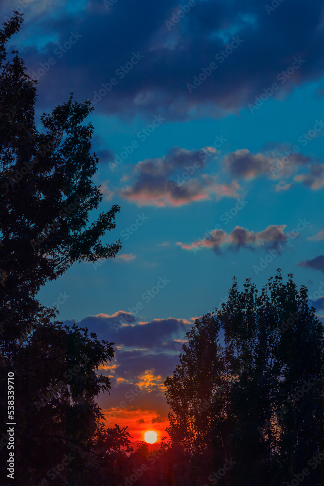 Fototapeta premium colorful sunset. The sun shines between the trees