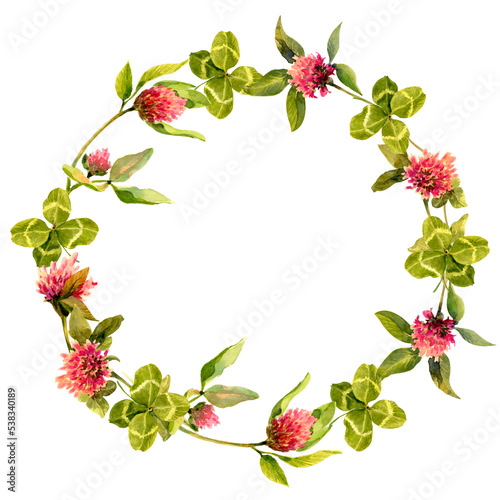 Wreath of flowers and leaf clovers isolated on white background. Plant composition with place for text. Square banner for social media posting.