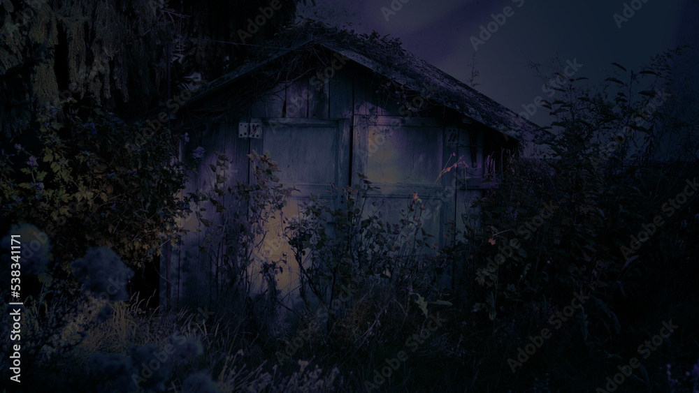 Halloween background, dark forest and dead leaf, leaf litter, dead leaves Halloween background, dark forest and dead leaf, leaf litter, dead leaves