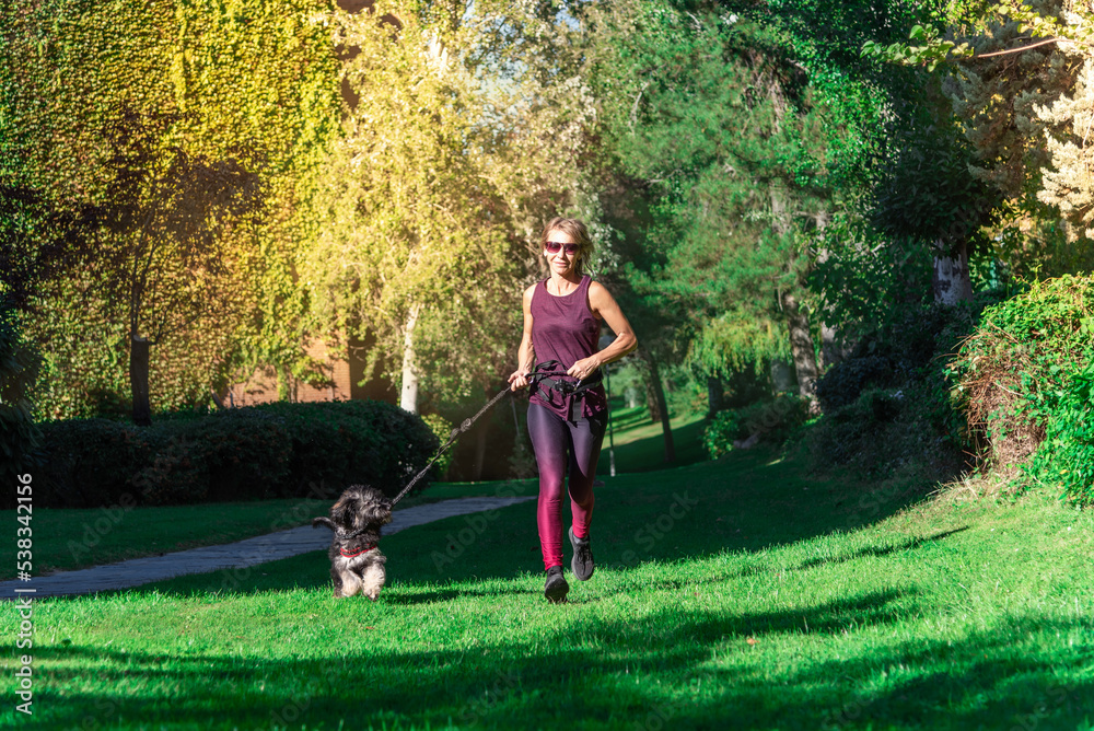 Middle aged blonde woman doing sport with her Catalan shepherd dog using a leash for running with pets. Outdoor sport with animals Middle aged blonde woman doing sport with her Catalan shepherd dog using a leash for running with pets. Outdoor sport with animals