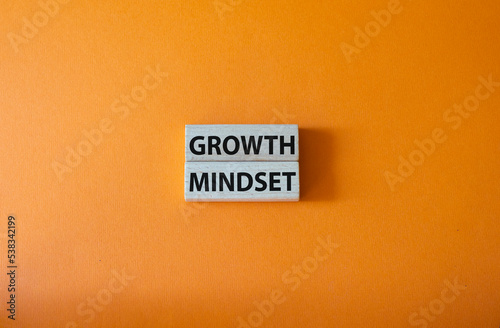 Growth Mindset symbol. Concept word Growth Mindset on wooden blocks. Beautiful orange background. Business and Growth Mindset concept. Copy space