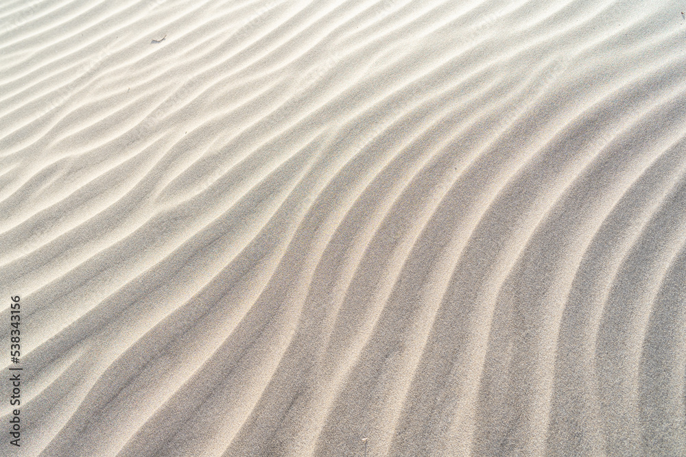 Obraz premium The dunes of Famara beach (Playa de Famara), Lanzarote. Canary Islands. Spain.