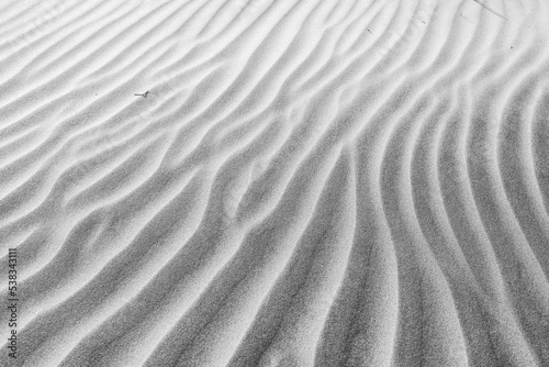 The dunes of Famara beach (Playa de Famara), Lanzarote. Canary Islands. Spain. Black and white.