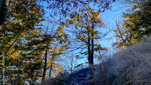 Magical autumn nature view from the mountain Klic in Lusatian Mountains, Czech Republic photo