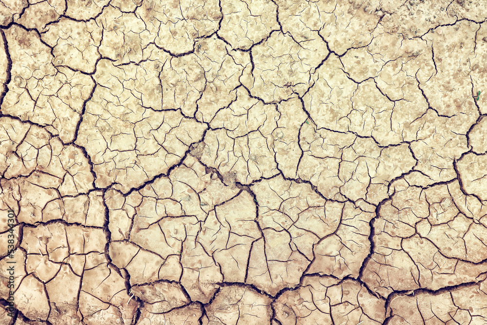 cracks on the ground desert texture background earth climate ecology cracks on the ground desert texture background earth climate ecology