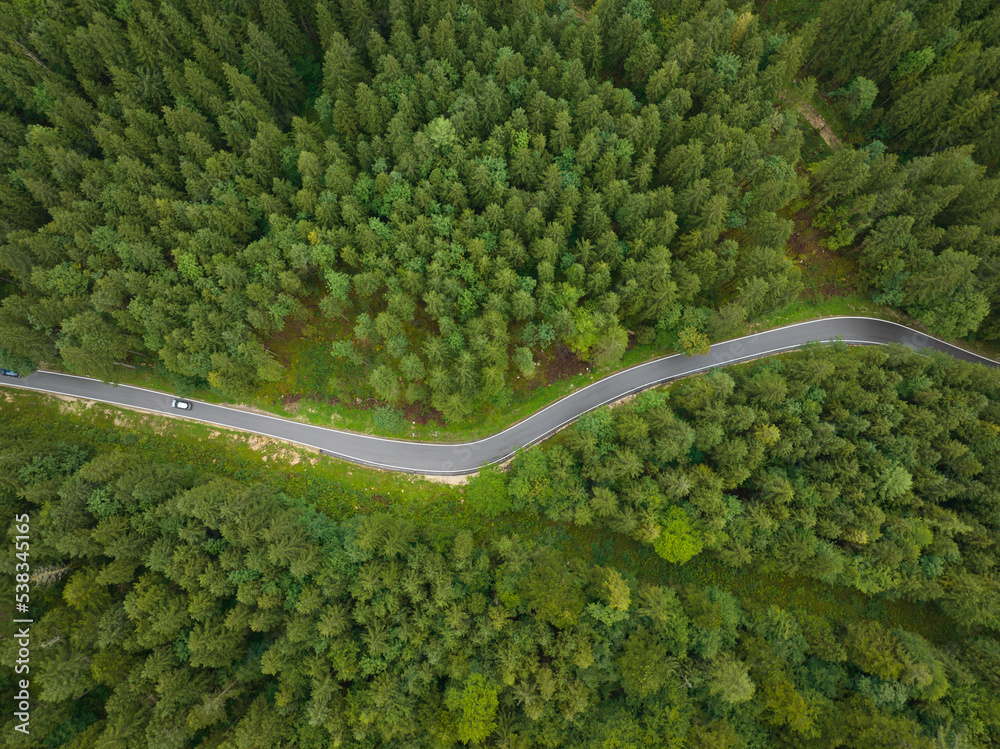 Top down aerial view of a twisty road through a forest trees and green landscape. Asphalt driving transportation road aerial drone overhead view. Alp motorway.