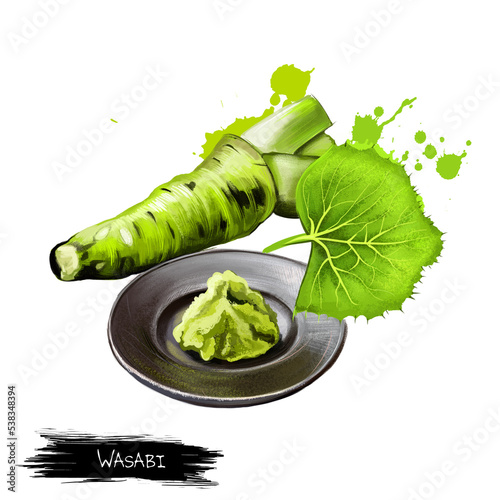 Fresh wasabi root, raw wasabi for japanese food. Japanese horseradish, condiment for sushi, sashimi on the plate isolate on white. Strong pungency. Herbs and spices collection. Digital art.