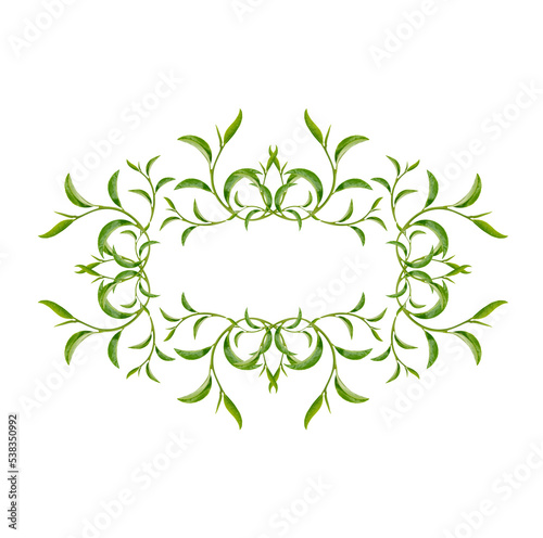 Art pattern green tea leaves isolated on transparent background. (.PNG)