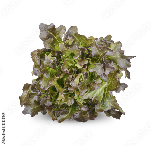 Fresh lettuce isolated on transparent background (.PNG)