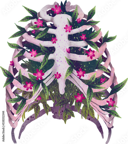 Illustration rib cage ribs with flowers leaves print anatomy