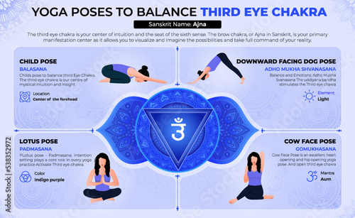 Yoga Poses to Balance Your Third Eye Chakra-Vector Design