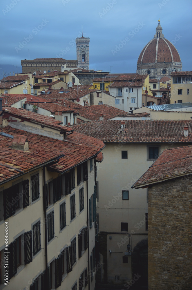 Obraz premium View of the roofs of Florence, Italy (from the Galleria degli Uffizi) 