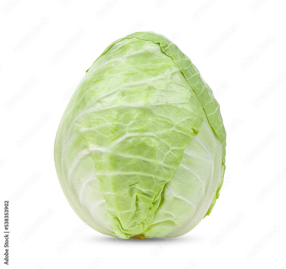Fototapeta premium Pointed cabbage isolated on transparent png