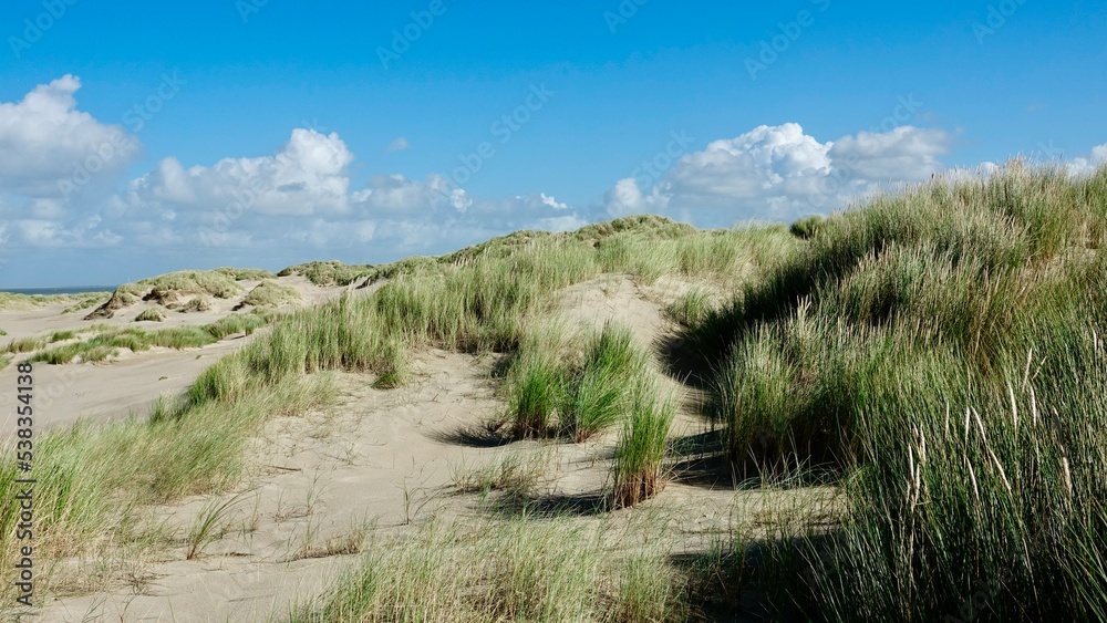 Dünenlandschaft an der Nordsee in den Niederlanden