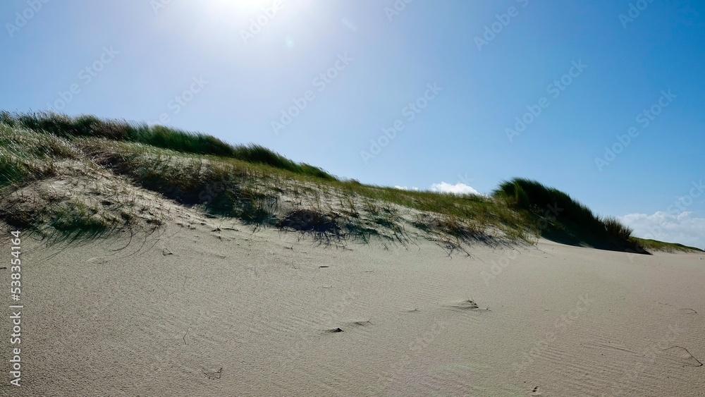 Dünenlandschaft an der Nordsee in den Niederlanden Dünenlandschaft an der Nordsee in den Niederlanden