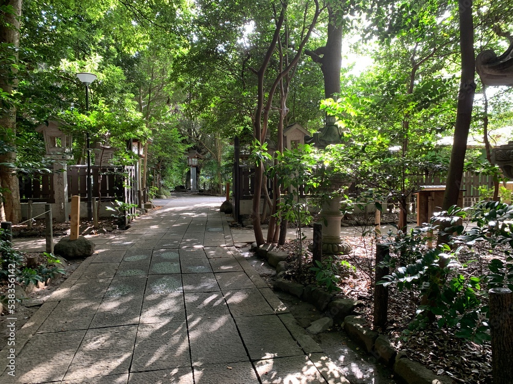 駒木諏訪神社の境内