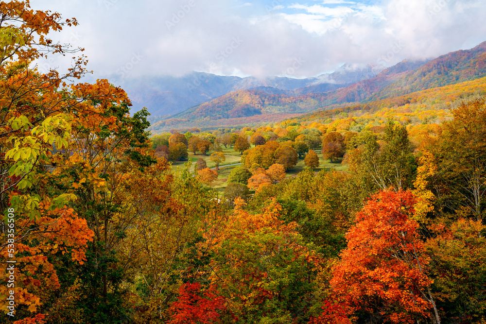標高が高く色づきが早い笹ヶ峰高原の紅葉。オレンジや黄色が多いカラフルな風景。