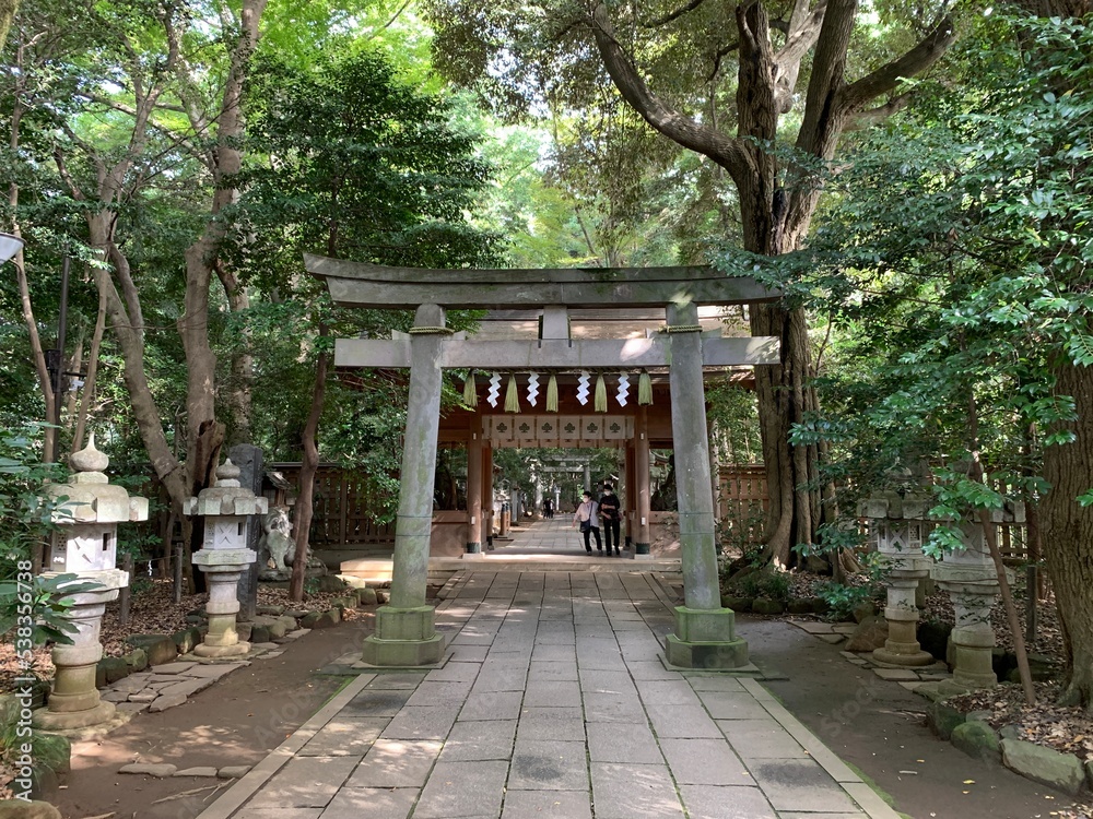 駒木諏訪神社の境内