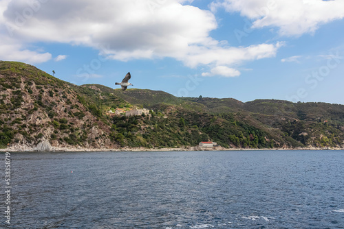 White seagull flying along the coastline of peninsula Athos, Chalkidiki, Central Macedonia, Greece, Europe. View on holy Eastern Orthodox terrain of Mount Athos (Again Oros). Freedom bird blue sky photo