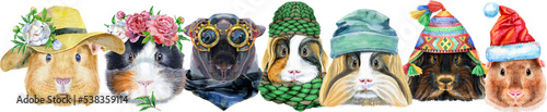 Cute cavy. Pig for T-shirt graphics. Watercolor guinea pigs border set