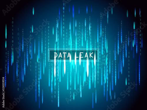 Data Leak