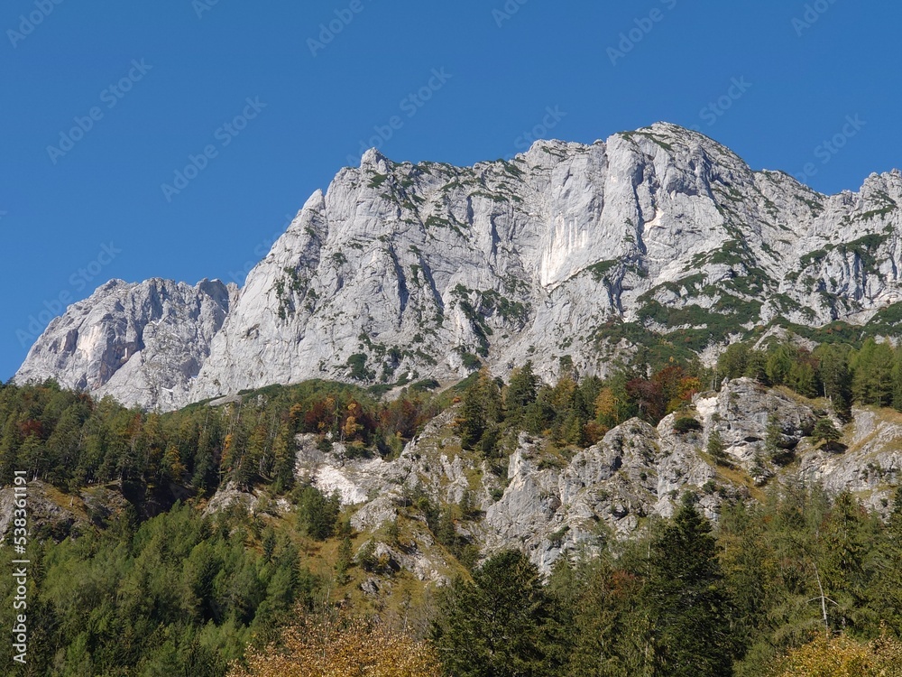 Wildfütterung im Berchtesgadener Land