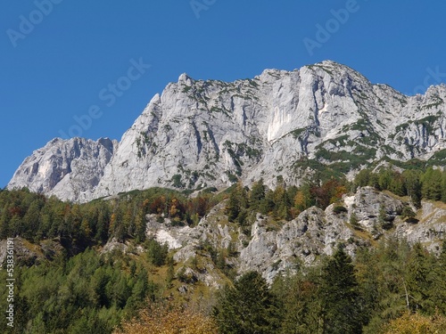 Fototapeta Naklejka Na Ścianę i Meble -  Wildfütterung im Berchtesgadener Land