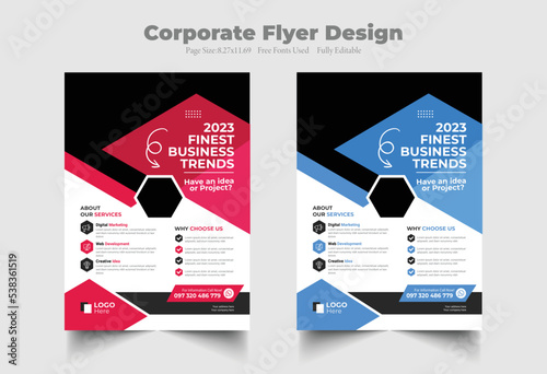 Corporate Business Flyer Corporate Flyer Template Geometric shape Flyer Circle Abstract Colorful concepts