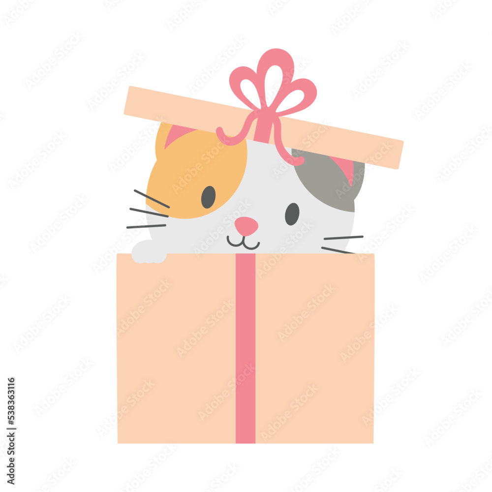 Cute Kitty Surprise Gift Cute Kitty Surprise Gift
