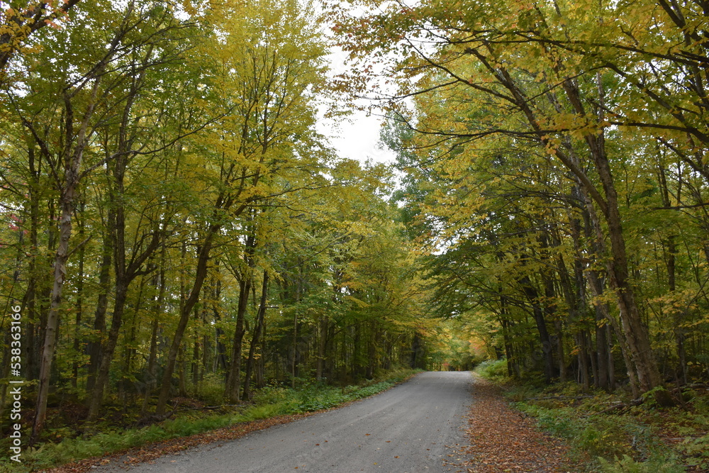 The road from the resort to Autumn, Sainte-Apolline, Québec, Canada
