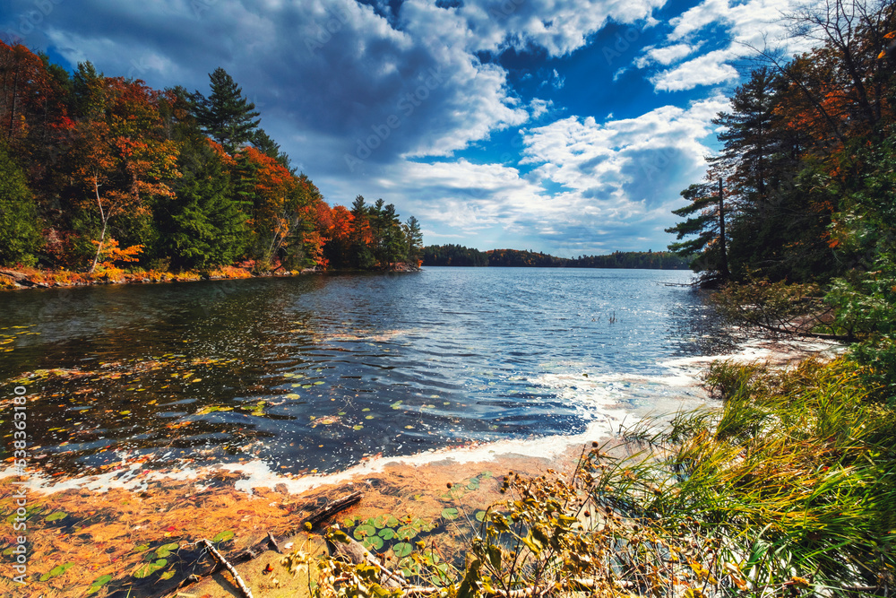 Fall and autumn colours of the natural environments and landscapes of Eastern Ontario Canada.  Featuring forest, lakes and majestic vistas of scenic locations.  