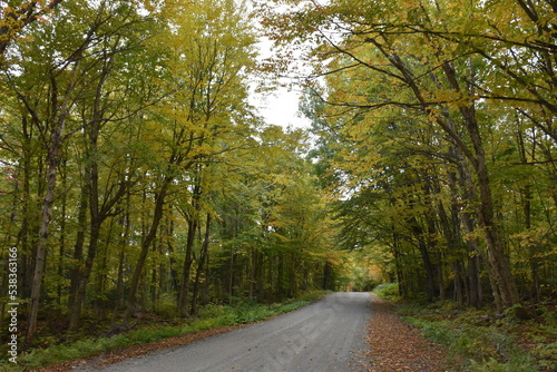The road from the resort to Autumn, Sainte-Apolline, Québec, Canada © Claude Laprise