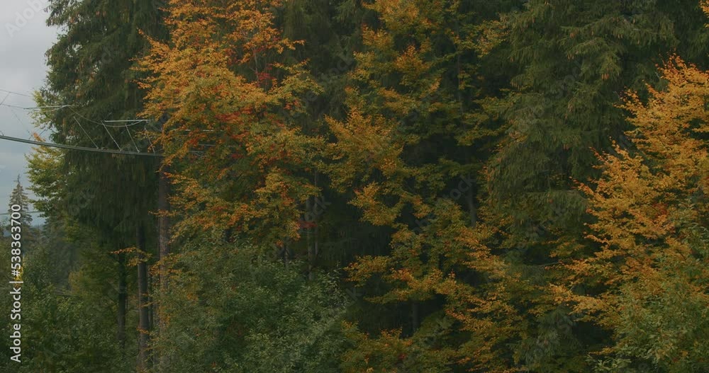 views of the Bukovel ski resort, beautiful autumn trees and mountains, houses in the distance.