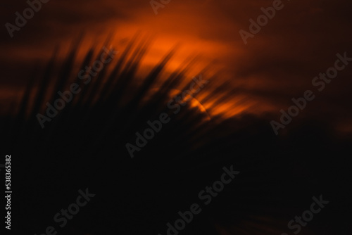 Abstract silhouette palm leaves with beautiful sunrise in the background  Sunrise with palm leaves.