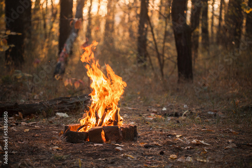 Campfire fenced by bricks in the forest at sunset © Dima Aslanian