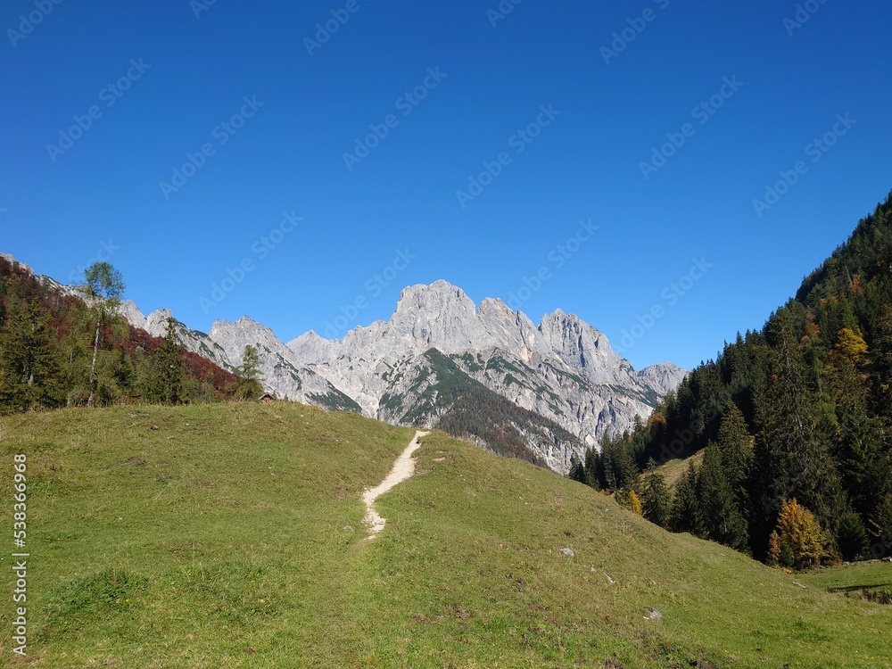 Auf der Alm